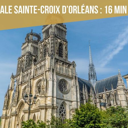Le St Paterne, Hyper Centre, 3 Chambres Tt Confort Orleans Ngoại thất bức ảnh