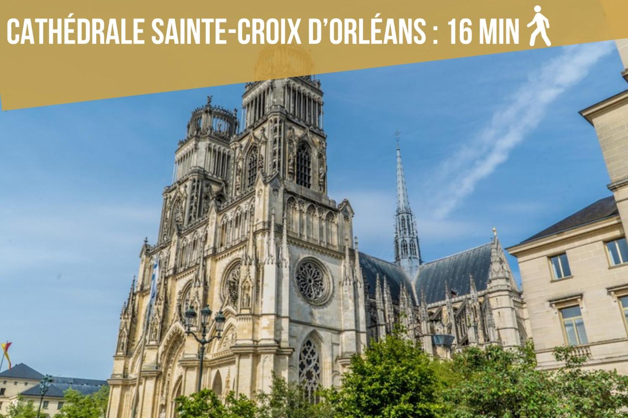 Le St Paterne, Hyper Centre, 3 Chambres Tt Confort Orleans Ngoại thất bức ảnh